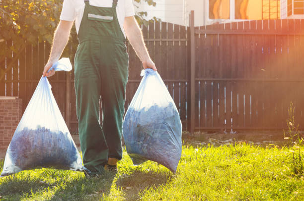 Best Electronics Removal Services  in Beulaville, NC